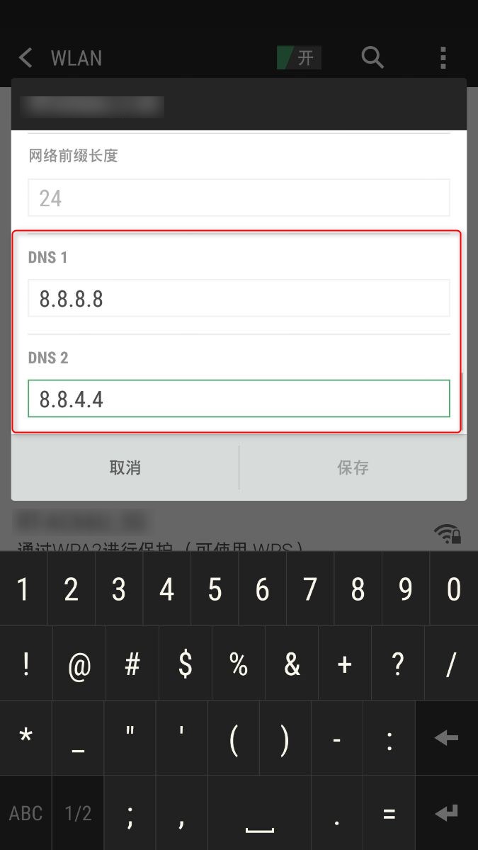 填写 DNS 并保存
